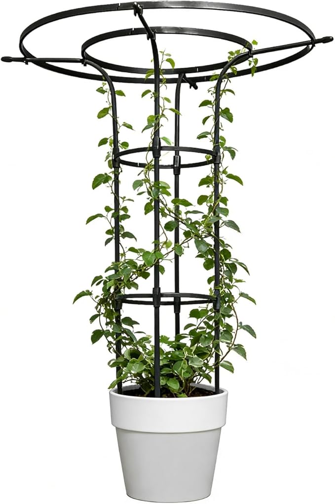 Garden Trellis for Climbing Plants Outdoor,43 Inch Umbrella Trellis for Potted Plants,Plant Trellis Support for Potted Plants Climbing Vine Rose Clematis Vegetable Trellis