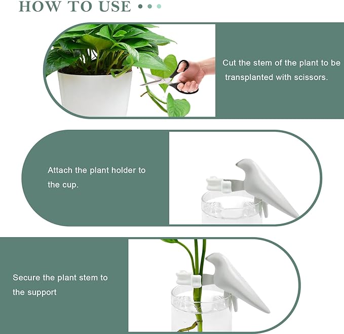 3Pcs Plant Propagation Buddy,Plant Holder for Stems, Sprouts, Cuttings and Shoots,Cute Bird Plant Stem Support for a Plant Propagation Station or an Indoor Plants, Gardening Gift for Plant Lover