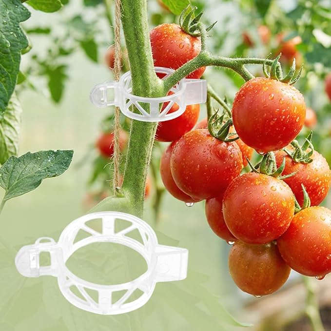 Plant Support Clips Reusable Garden Clips, Tomato Support Clips for String Trellis for Climbing Plants Outdoor Indoor Plant Flowers Stem Vine Fixing Clips (300 PCS)
