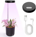 Self-Watering Planter with Grow Light — Cute Desk Plant Pot for Office, Bedroom & Window — No Green Thumb Needed, 2-in-1 Wall + Desktop, USB Powered (5W LED, White)