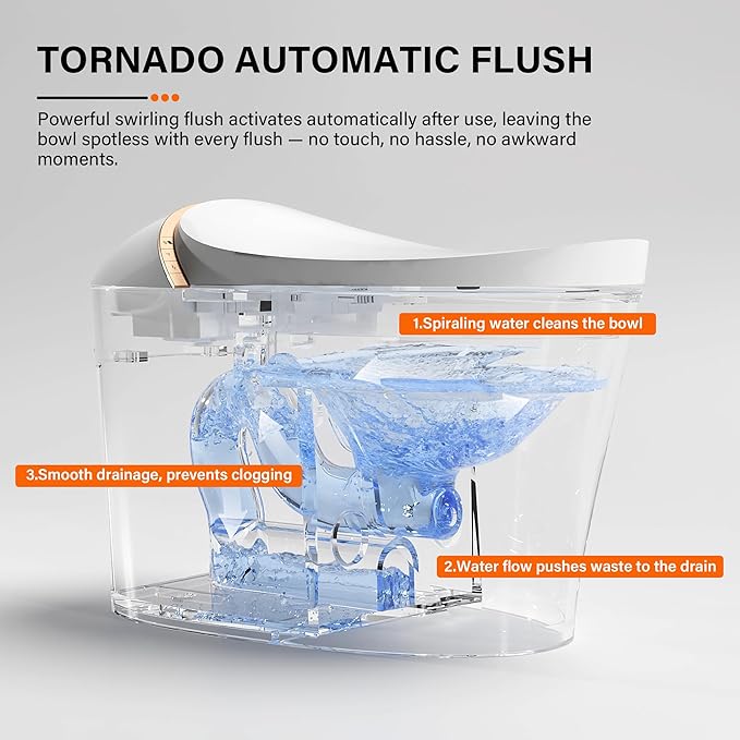 DeerValley Smart Toilet with Bidet Built In, Tankless Toilet with Heated Bidet Seat, Auto Flush, Warm Water & Dryer, Deodorization, and Remote Control