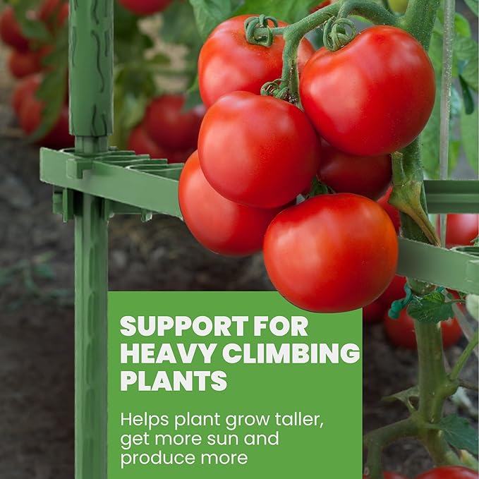 K-Brands Tomato Cage - Tomatoes Plant Stakes Support Cages, Trellis for Garden & Pots, Plant Support Structures for Vegetables and Climbing Plants (6 Pack - Tall Upto 68 inches)