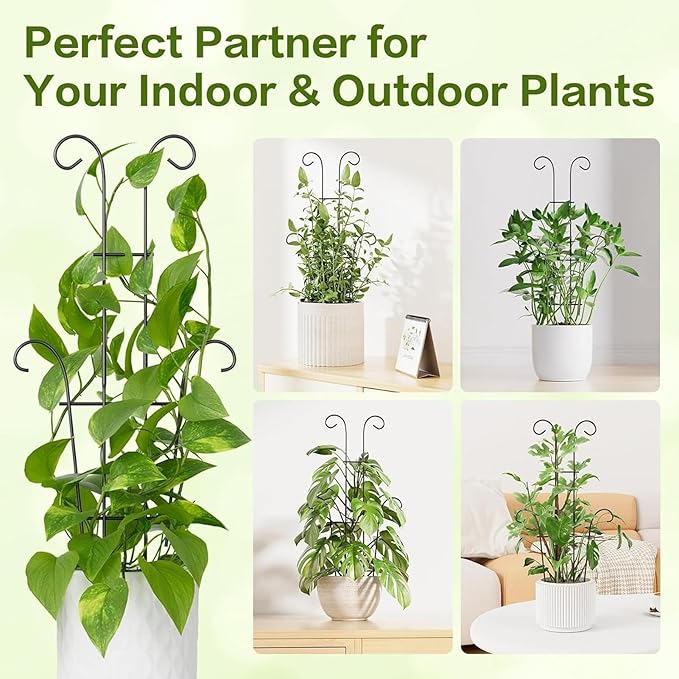 Plant Stakes - Adjustable Metal Trellis, Garden Plant Support, Vertical Stem Holder | Rust-Proof Monstera Ivy Cucumber Bean Flower Pot Trellis for Indoor Outdoor Planter Vegetable Fruit Gardening