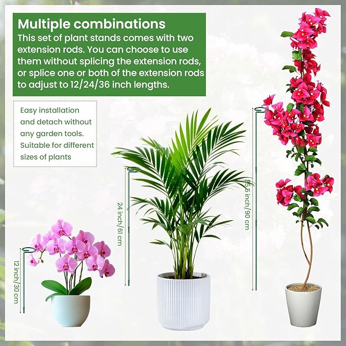 Plant Support Stakes 6 Pack, 12/24/36 Inch Heavy Duty Metal Plant Stakes, Adjustable Garden Plant Support Cages/Rings for Outdoor Indoor Plants, Plant Stick Support for Amaryllis Tomato Peony Orchid