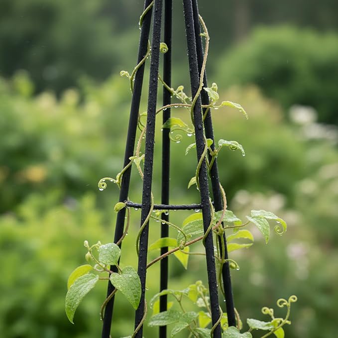 Loop Top Plant Trellis Stakes 34 Inch, Wrought Iron Black Powder Coated Plant Supports for Containers and Climbing Plants, Set of 2