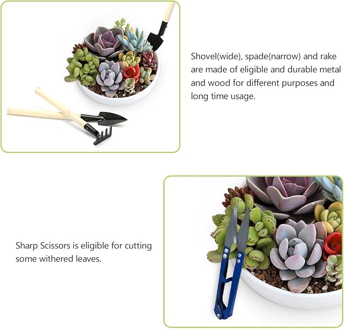 14 Pieces Succulent Plants Tools, Mini Garden Hand Tools Miniature Fairy Garden Tools Kit Bonsai Tools Planting Set with Scissors, Mini Rake, Shovel, Transplanting Tool Watering Can etc