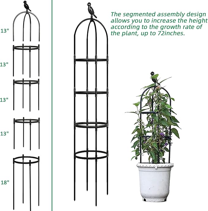 Garden Trellis for Climbing Plants, Rustproof Metal Pipe with Heavy Duty 6ft, Garden Outdoor Indoor Potted Plant Support（Black）