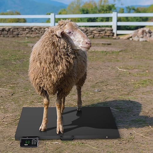 TUFFIOM 1100Lbs x 0.2Lbs Postal Digital Shipping Livestock Scale, Electronic Stainless Steel Platform Heavy Duty Vet Animal Floor Scale,Dog Puppy Pig Goat Sheep Scale, Black