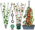 Garden Trellis for Climbing Plants, 2Pack-Plant Trellis, 2 in 1 Rustproof Metal Pipe with Plastic Coated, 4Ft Plant Support for Potted Plant Outdoor Indoor, Tomato Cages & Supports for Vines