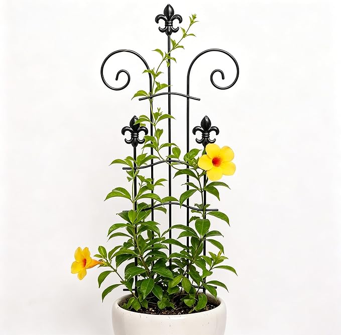 31" Trellis for Climbing Plants Indoor - Heavy Duty Metal Support for Potted Plants, Ideal for Vining Plants, Perfect for Tall Monstera & Houseplants, for Gardeners & Plant Lovers