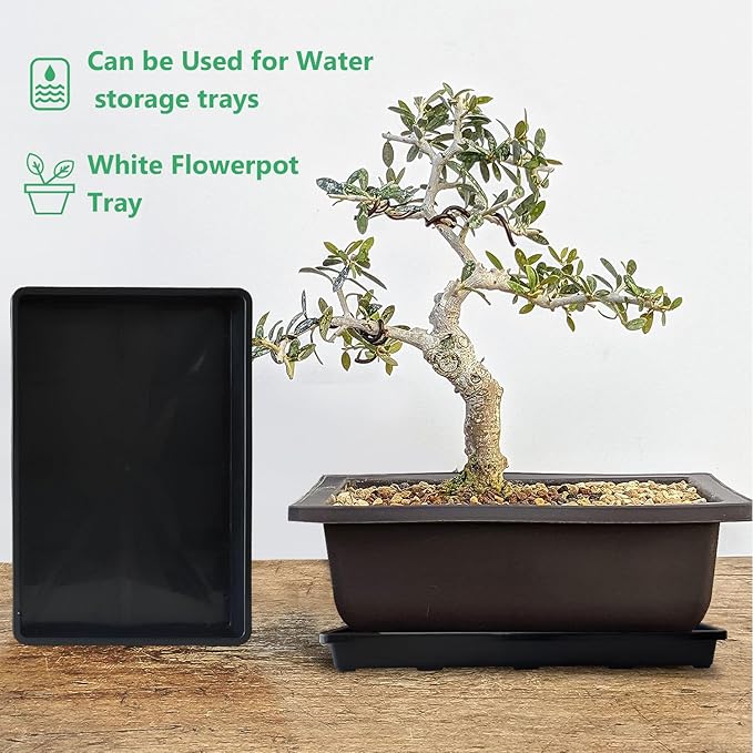 RooTrimmer 5 Pack Nursery Potting Tray, Carrying and Holding Plant Tray for Seeds Starting Pot, Collecting Drainage Water(Black)
