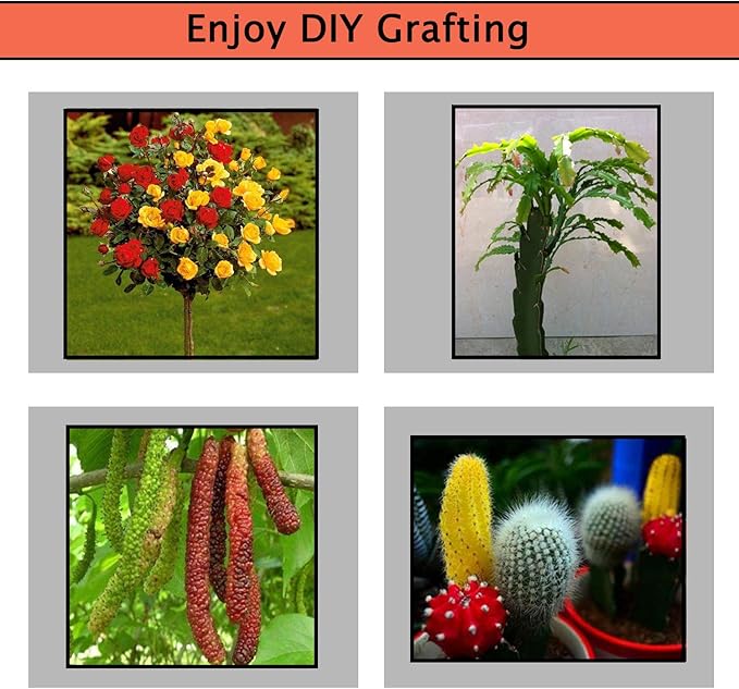 2-in-1 Garden Grafting Tools Pruner Kit, V-Graft Omega-Graft and U-Graft, Plant Branch Vine Fruit Tree Cutting Tool Kits Scissors