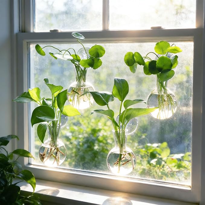 Bunmery 4 pcs Window Propagation Stations, Easy to Install Plant Propagation Bulbs with Suckion Cups, No Nails Wall Hanging Planter Propagation Station, Glass Plant Terrarium Vase