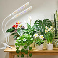 Kullinss White Grow Light, 2-Head Clip On Grow Lights for Indoor Plants with 6/12/16H Timer, 3 Color Modes, 5 Dimmable Levels, 114 LEDs Full Spectrum Plant Lights for Indoor Plants, Herbs, Seedlings