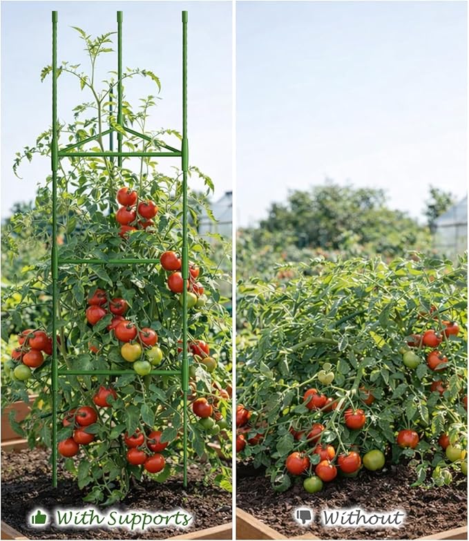 Growsun 51 inch Tomato Cage Heavy-Duty Plant Support Cucumber & Vine Vegetables – Adjustable Green Metal Garden Trellis for Climbing Plants, Indoor & Outdoor Use, 3 Pack