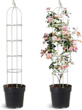2 Pack Trellis for Climbing Planting Outdoor, 6ft Plant Trellis-Rustproof Metal Pipe with Heavy Duty Plastic Coated, Potted Plant Support for Clematis Vine Jasmine Support (White, 2 Pack)