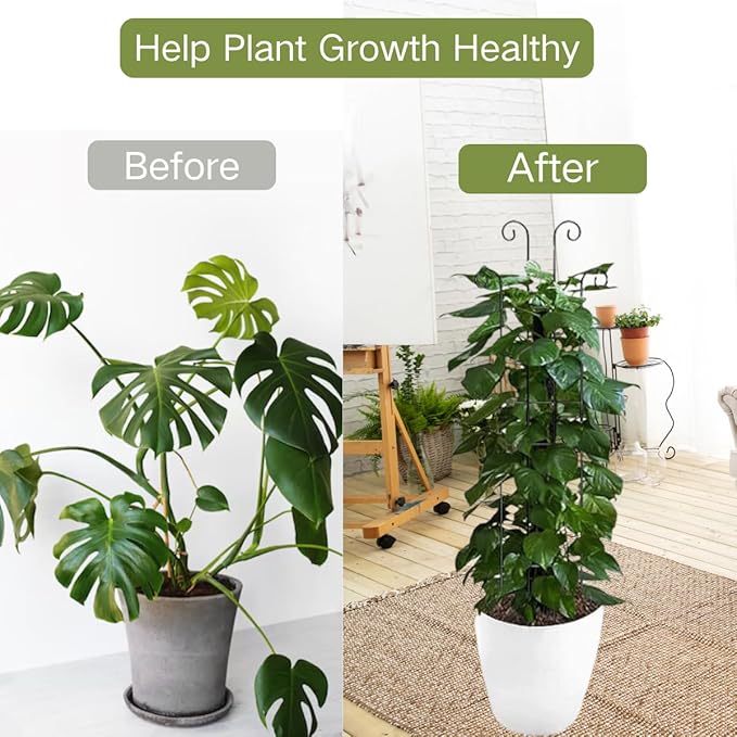 2 Pack 33 inch Plant Trellis for Climbing Plants Outdoor/Indoor, Expandable Large Metal Garden Trellis for Climber Plants, Sturdy Houseplant Support Stakes for Potted Vine Ivy Pothos Monstera