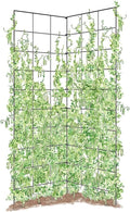 Gardener's Supply Company Two Panel Folding Trellis | Sturdy & Tall Metal Frame for Outdoor Garden Plant Support Climbing Flowers and Vegetables | 35-1/2"W x 58" H