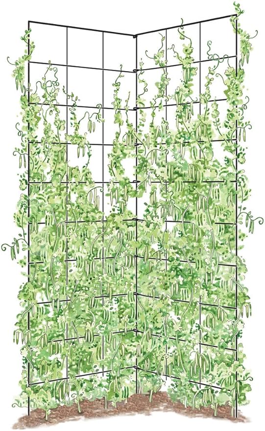 Gardener's Supply Company Two Panel Folding Trellis | Sturdy & Tall Metal Frame for Outdoor Garden Plant Support Climbing Flowers and Vegetables | 35-1/2"W x 58" H
