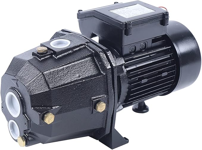 1HP Shallow Well Jet Pump with Pressure Switch, 750W Cast Iron Water Pump 16.7GPM, 183FT Lift Head IP44 for Home Farm Cabin Fresh Water Supply