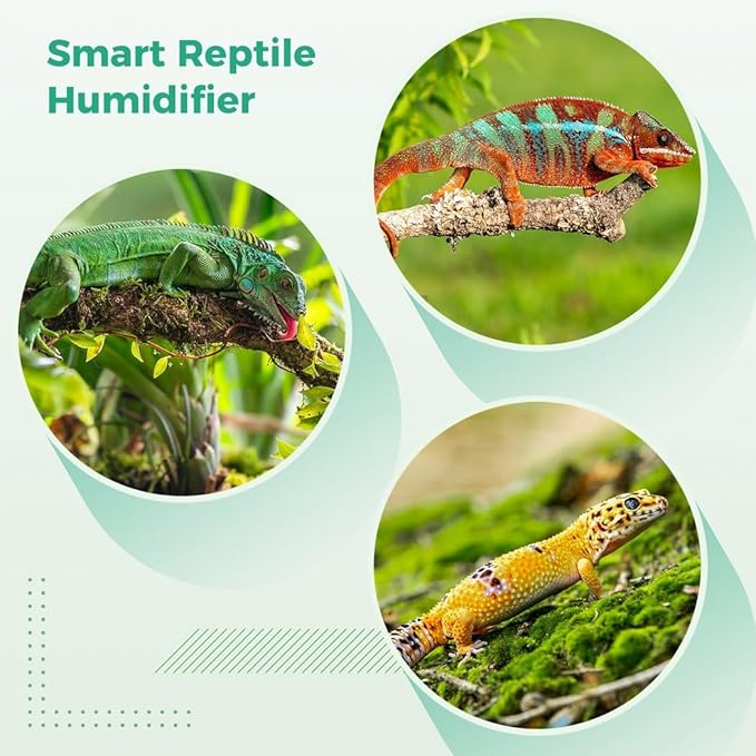 Reptile Humidifier with Smart Timer, Automatic Mist Spray System, 360° Adjustable Nozzles and Touch Screen Control for Vivarium Setup