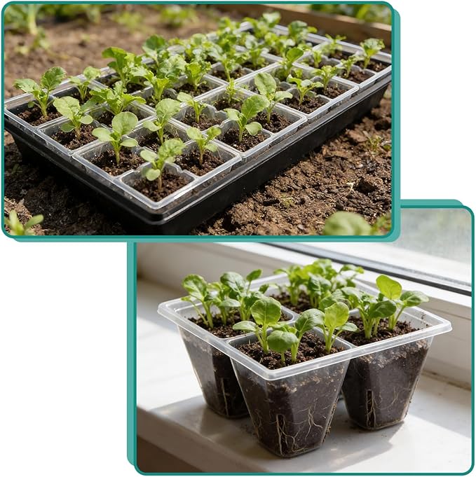 RooTrimmer 80 Pack Reusable 4-Cell Clear Seed Starter Trays - Extra Large Drainage Holes, Easy Transplant, Clear Transparent Tray for Root Observation, Seed Starting, Fits Standard 1020 Flats