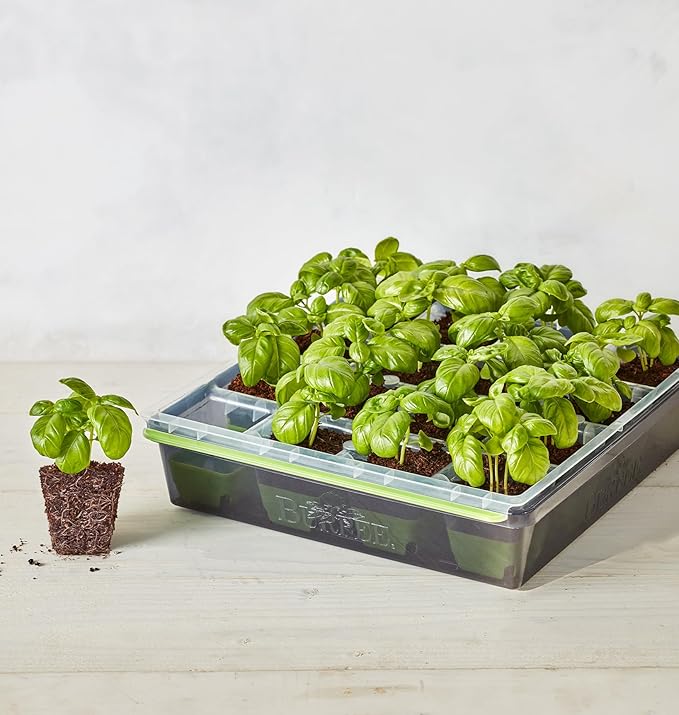 Burpee SuperSeed Starting Tray | 16 XL Cell | Reusable & Dishwasher Safe | for Vegetable, Flower & Herb Seeds | Indoor Grow Kit for Deep-Rooted Seedlings, Green