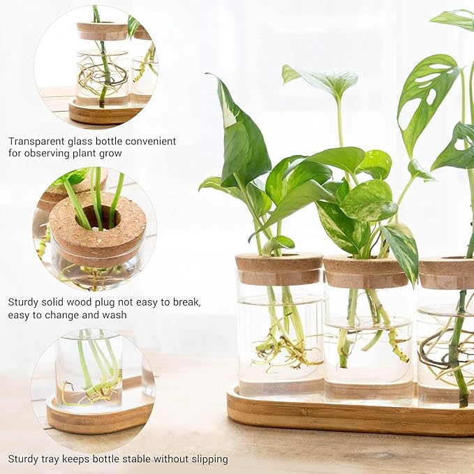Dahey Plant Propagation Terrarium Desktop Glass Planter Station Water Planting Glass Vase with Lid and Wooden Stand for Propagating Hydroponic Plants Centerpiece Office Home Garden Decor, 4 Pcs