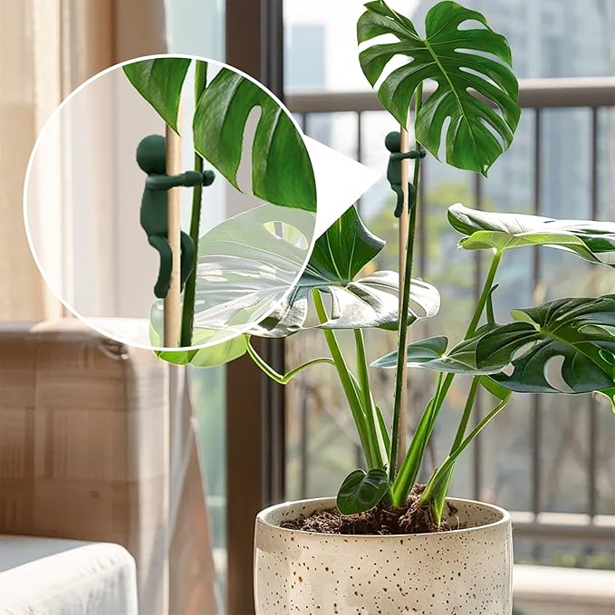 AlisisFores 6Pcs Plant Propagation Friends, Plant Cutting Holder Plant Support for Sprouts, Stems and Shoots, Cute Plant Propagation Buddy for a Plant Propagation Station or an Indoor Garden