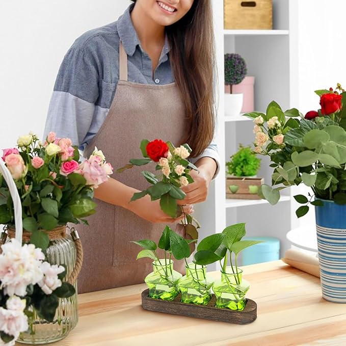 XXXFLOWER Plant Propagation Station with Wooden Stand，Air Plant Terrarium Starter Kits Star Vases for Flowers Plant Cutting Rooting Pots Indoor Hydroponic Glass Planter for Plant Lovers,3 Jars(Green)