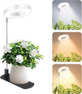 LBW Grow Light for Indoor Plants, Full Spectrum Plant Light with Base, Height Adjustable Plant Growing Lamp with Auto On/Off Timer 6/8/12/16H, 3 Colors,5 Dimmable Brightness, for Small Plants, White