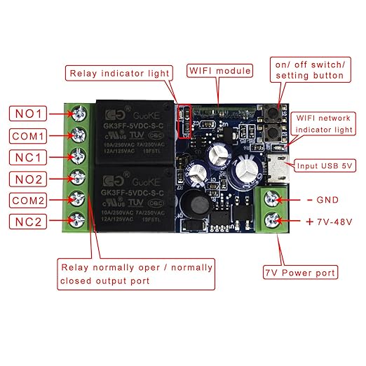 Ewelink WiFi Wireless Smart Relay Module USB DC 5v/12v/24v/48v 2 Channel Switch for Garage Door, Rolling Shutter Door, Electric Curtain