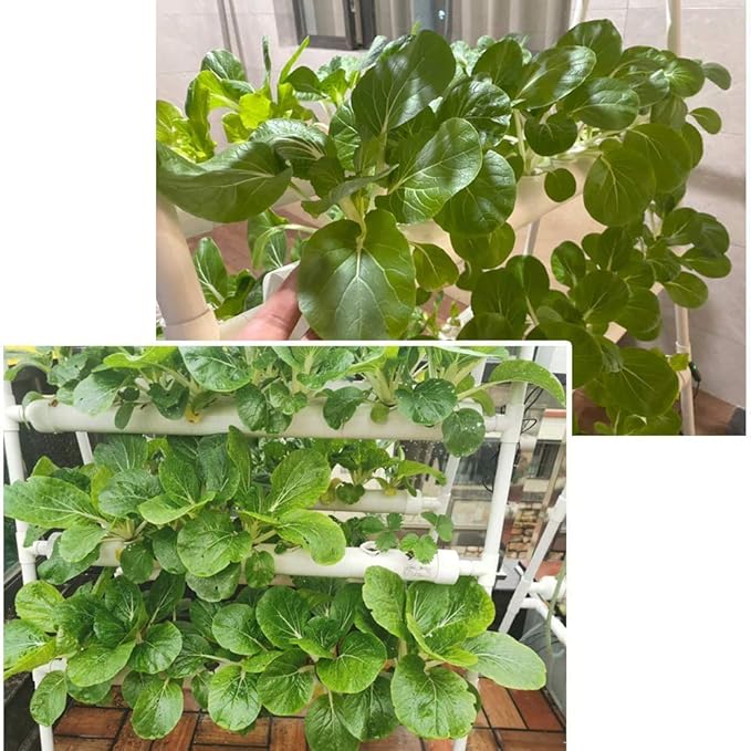 Hydroponics Growing System Kit 72 Plant Sites 4 Layers Food-Grade PVC-U Pipes Hydroponic Grow Kit Gardening System with Water Pump, Timer,Net Pots and Sponge for Vegetables,Fruits,Herb