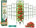 ZeeDix 6 Pack 65 Inch Tall Tomato Cages for Garden, Heavy Duty Large Plant Trellis Support Stakes for Climbing Plants, Adjustable Tomatoes Cage for Pots & Outdoor Raised Garden Bed