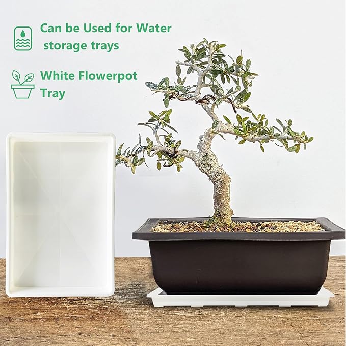 RooTrimmer 5 Pack Nursery Pot Tray, Carrying and Holding Plant Tray for Pot 24 Cell Carrying Holder Drainage Watering Plant Tray (White)
