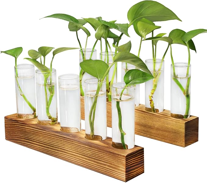 Renmxj Plant Propagation Station, Plant Terrarium with Wooden Stand for Hydroponics Plants Office Decor Unique Gardening Gifts for Women Plants Lovers - 10 Glass Test Tube Vases
