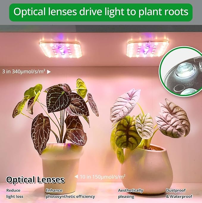 DOMMIA Full Spectrum LED Grow Light for Indoor Plants, 2 Panels 10W with 6/12/16h Timer Dimmable Plant Lights for Flower Veg Plant Growth USB, Pinkish White, 2-Pack