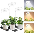 LBW Grow Light for Indoor Plants, Height Adjustable Plant Grow Lamp with Auto On/Off Timer 6/8/12/16H, 3 Colors,5 Dimmable Brightness, for Small Plants, White, 3 Packs