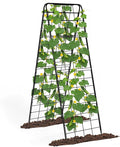 A-Frame Cucumber Trellis for Raised Bed, 50"x 16" Adjustable Heavy Duty Metal Garden Trellis for Climbing Plants Outdoor, Plant Support for Tomatoes Pea Bean Grape Vining Vegetables (1 Pack)