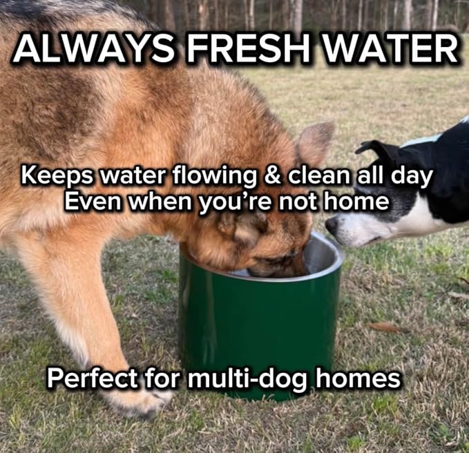 Smart Dog Water Bowl for Outside - Connects to Garden Hose - WiFi App Controlled Timer for Automatic Water Flow - Stainless Steel Outdoor Pet Water Bowl - Large Capacity (Green)