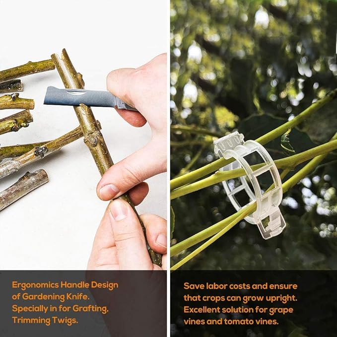 FUJIWARA Garden Grafting Tool, Multifunctional Pruning Scissors Kit, U-Graft/V-Graft/Omega-Graft Seedling for Fruit Tree Grafting Set,Including Grafting Tapes, Grafting Knife & Replacement Blades
