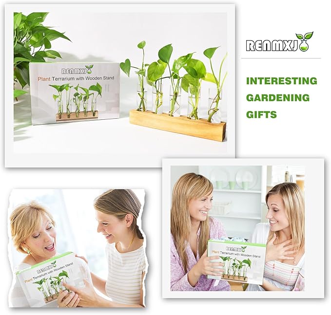 Renmxj Plant Propagation Station, Plant Terrarium with Wooden Stand for Hydroponics Plants Office Decor Unique Gardening Gifts for Women Plants Lovers - 10 Glass Test Tube Vases