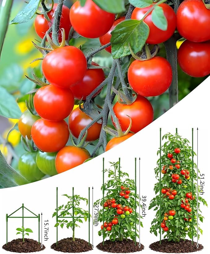 Growsun 51 inch Tomato Cage Heavy-Duty Plant Support Cucumber & Vine Vegetables – Adjustable Green Metal Garden Trellis for Climbing Plants, Indoor & Outdoor Use, 6 Pack