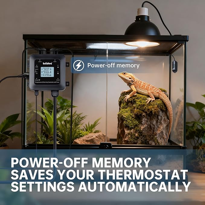 Briidea Smart WiFi Temperature and Humidity Controller with Timer Outlet, 3-in-1 Reptile Thermostat Hygrostat, App Control via Dual-Band 2.4G/5G WiFi for Greenhouse, Incubator, Mushroom, and Homebrew