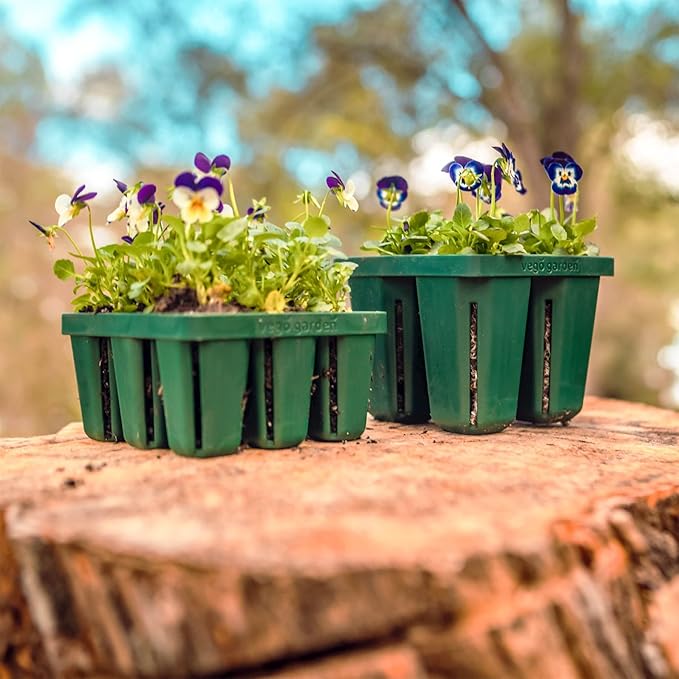Vego garden Seedling Suite Products, 4 Pack Standard Seedling Trays with Seedling Tray Lids and 10" x 10" Bottom Watering Trays