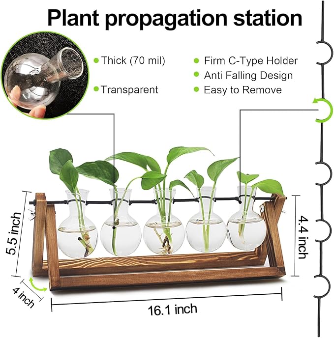 Renmxj Plant Propagation Station, Propagation Vases for Plants, Unique Gardening Birthday Gifts for Women Plant Lovers Mom Best Friend - 5 Bulb Glass Vases
