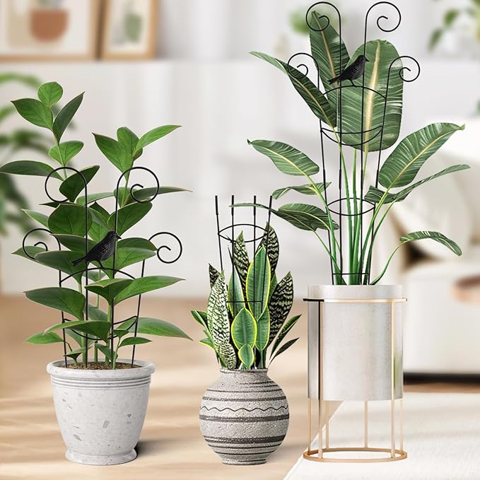 30 in Tall Plant Trellis Indoor,Metal Garden Trellis for Climbing Plants, 2P