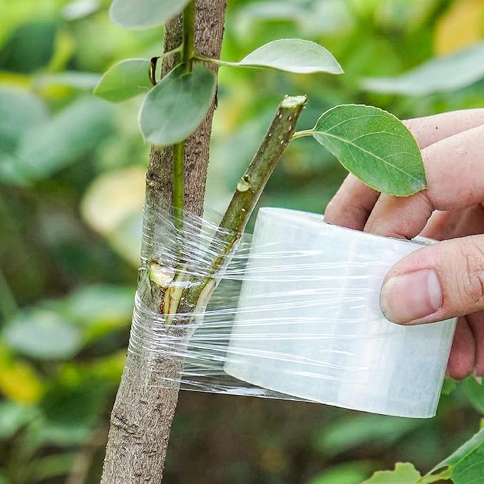 Garden Grafting Knife, Curved & Straight Garden Knife Blade, Tree Grafting Kits Including Grafting Tapes Plant Labels for Plant Branch Vine Fruit Tree Cutting