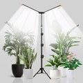 YEOLEH Floor Lamp Grow Light for Large Tall Plants Indoor, 6000K White Full Spectrum Plant Growing Light with Red Blue LED, Foldable Light Strip, Dimmable & Timer Function, Height 17-62‘’ (100, Watts)
