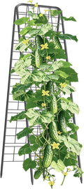 100% Metal Cucumber Trellis for Raised Bed,62"x17" A-Shape Garden Plant Support for Climbing Plants, Heavy Duty Metal Garden Trellises Plant Support for Vine Vegetables Outdoor (Black, 62x17inch(H*W))